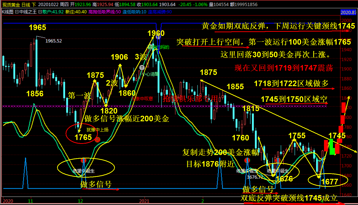 正式登陆中国捷尼赛思如何撬开豪华车市场？_车市动态_汽车_中金在线