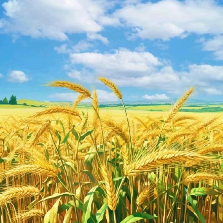 揭秘社保基金重仓股（11月8日）