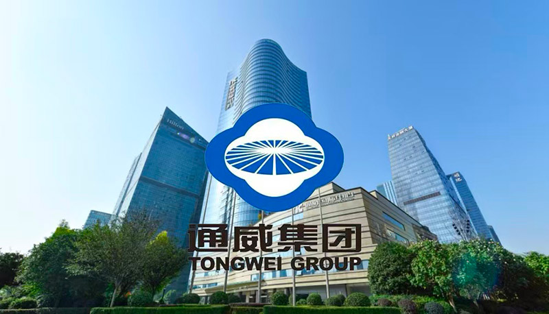 通威股份拟并购丽豪清能：光伏“并购时代”的破局与挑战