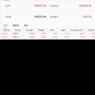 只做一支股票