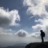 牧羊犬投资分析