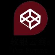 软银云商项目包装