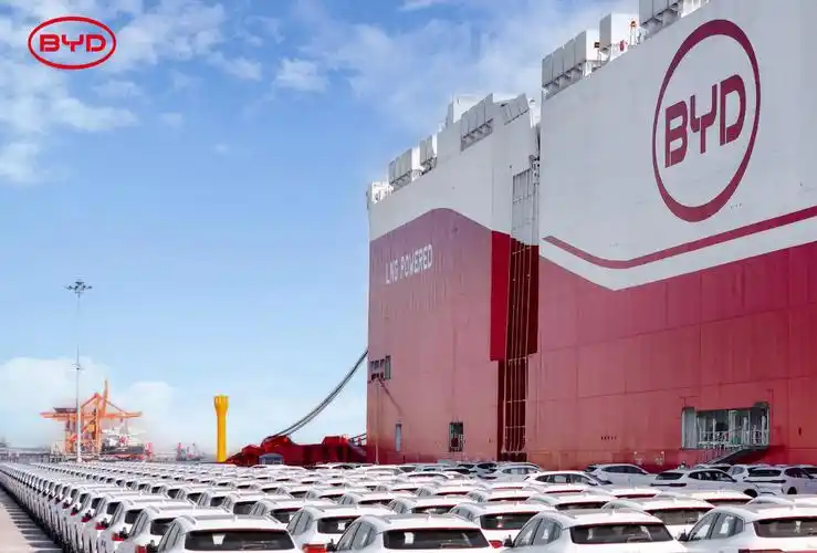 国产电动汽车在全球卖爆了，外国人的钱真的好赚吗？