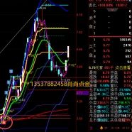 肖肖点金