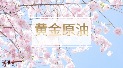 360b024b-0269-4152-8201-8d85bce82d84.png
