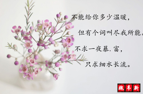 20130911203746_THVPQ.jpg
