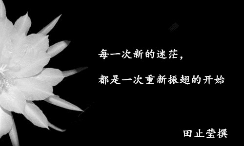 迷茫，开始.jpg