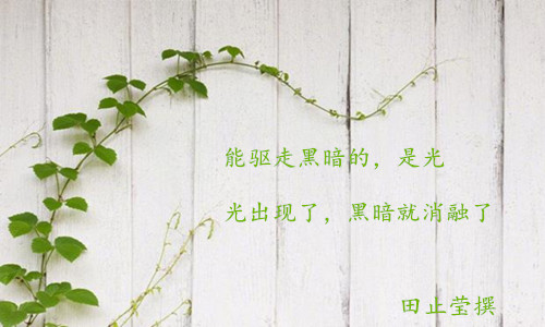 光驱走黑暗.jpg