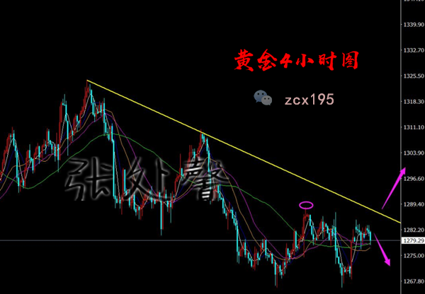 1557233791411411_副本.png