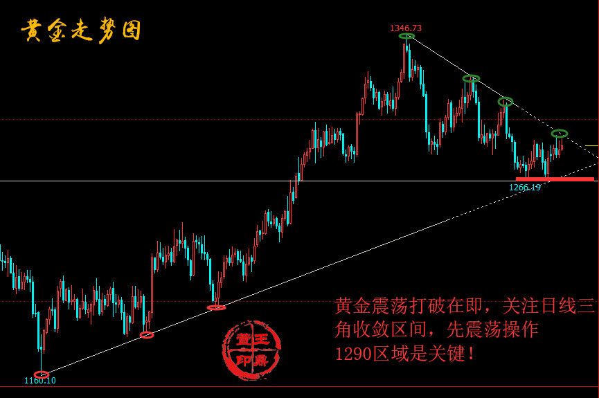 5.11黄金图_副本无.jpg