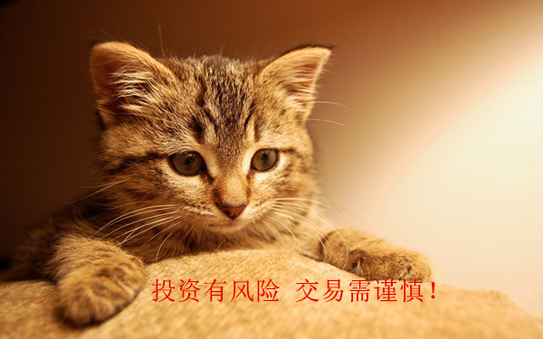315751_副本.jpg