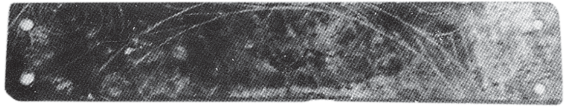 1561118595518599.png 图片20.png