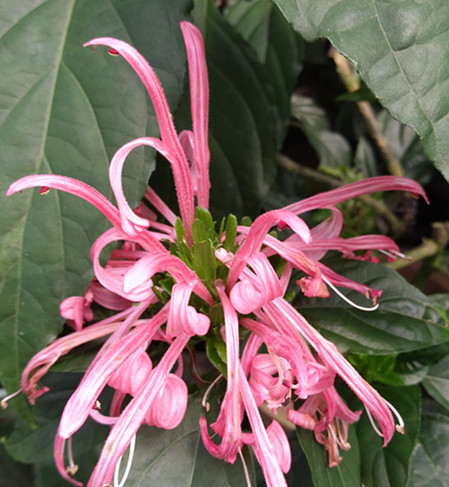 1571726230518527.jpg IMG_20190815_101409_副本.jpg