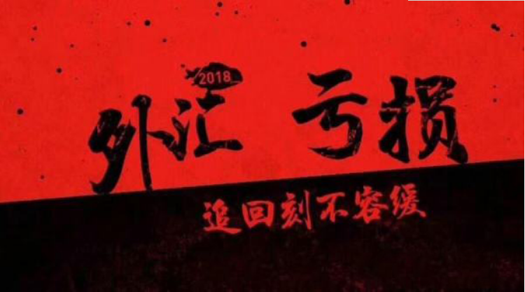 外汇追损.png
