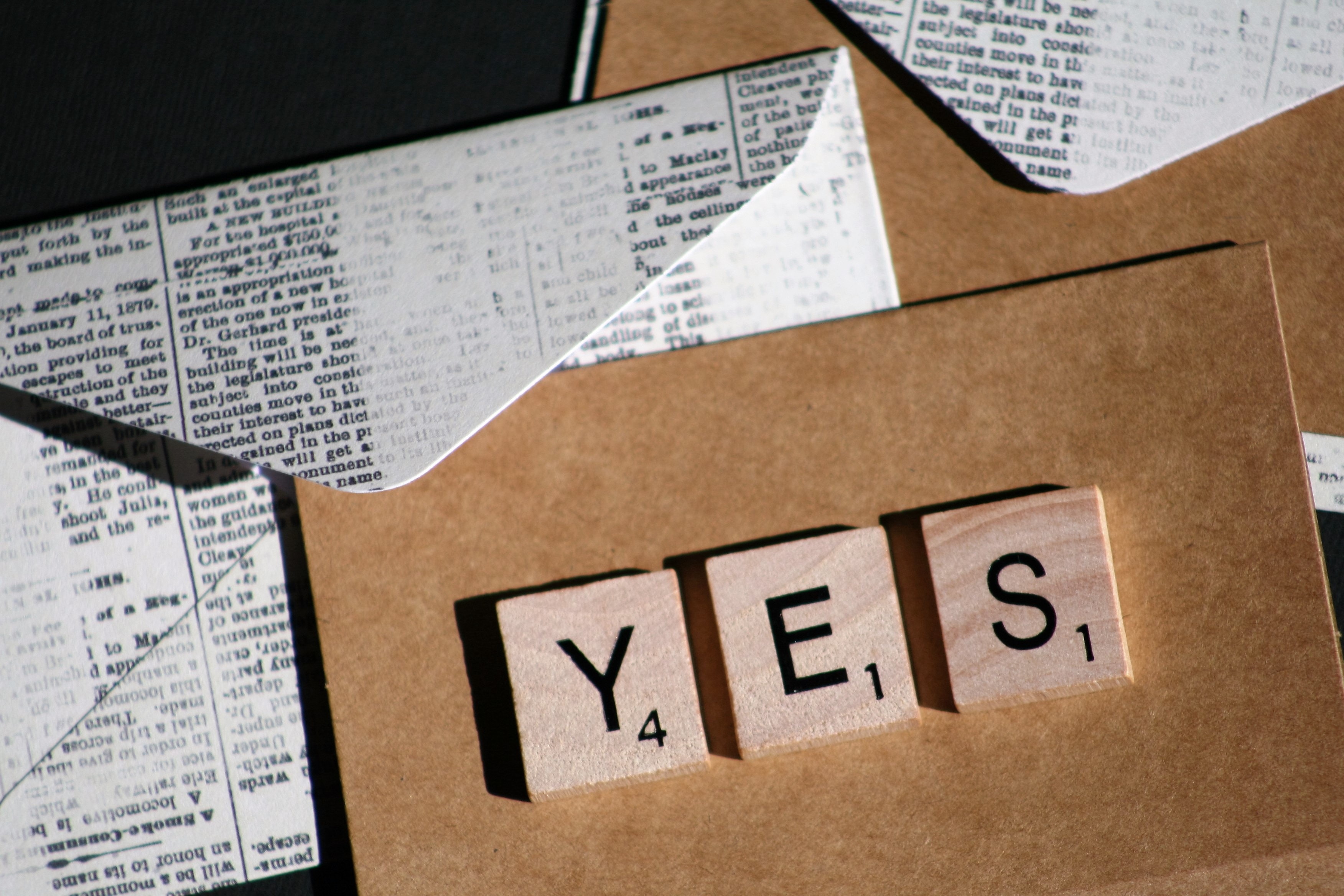board-game-box-business-card-262028.jpg