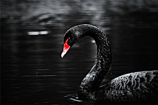 Xiong Fuming:4.17黄金如期破位1700，晚间如何看待？908 / author:Xiong Fuming / PostsID:1542592