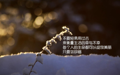 de0a2a9b04.jpg