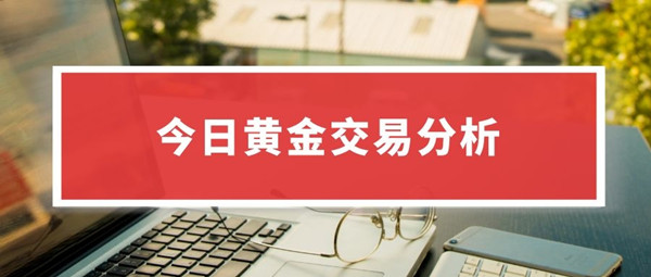 兔兔.jpg