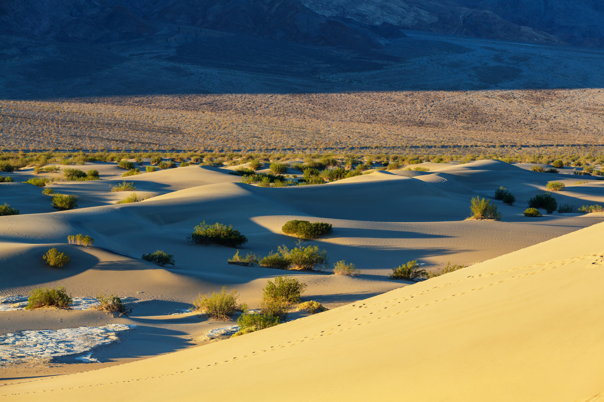 摄图网_300373607_banner_美国加州死亡谷公园的沙丘（非企业商用）.jpg