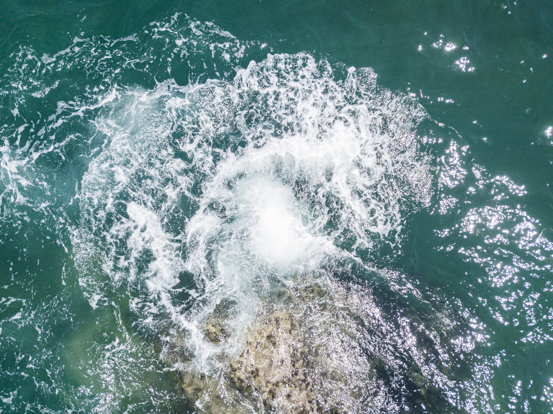 东盛：大风起兮云飞扬，静候大选884 / author:Dongsheng Caishi / PostsID:1582555