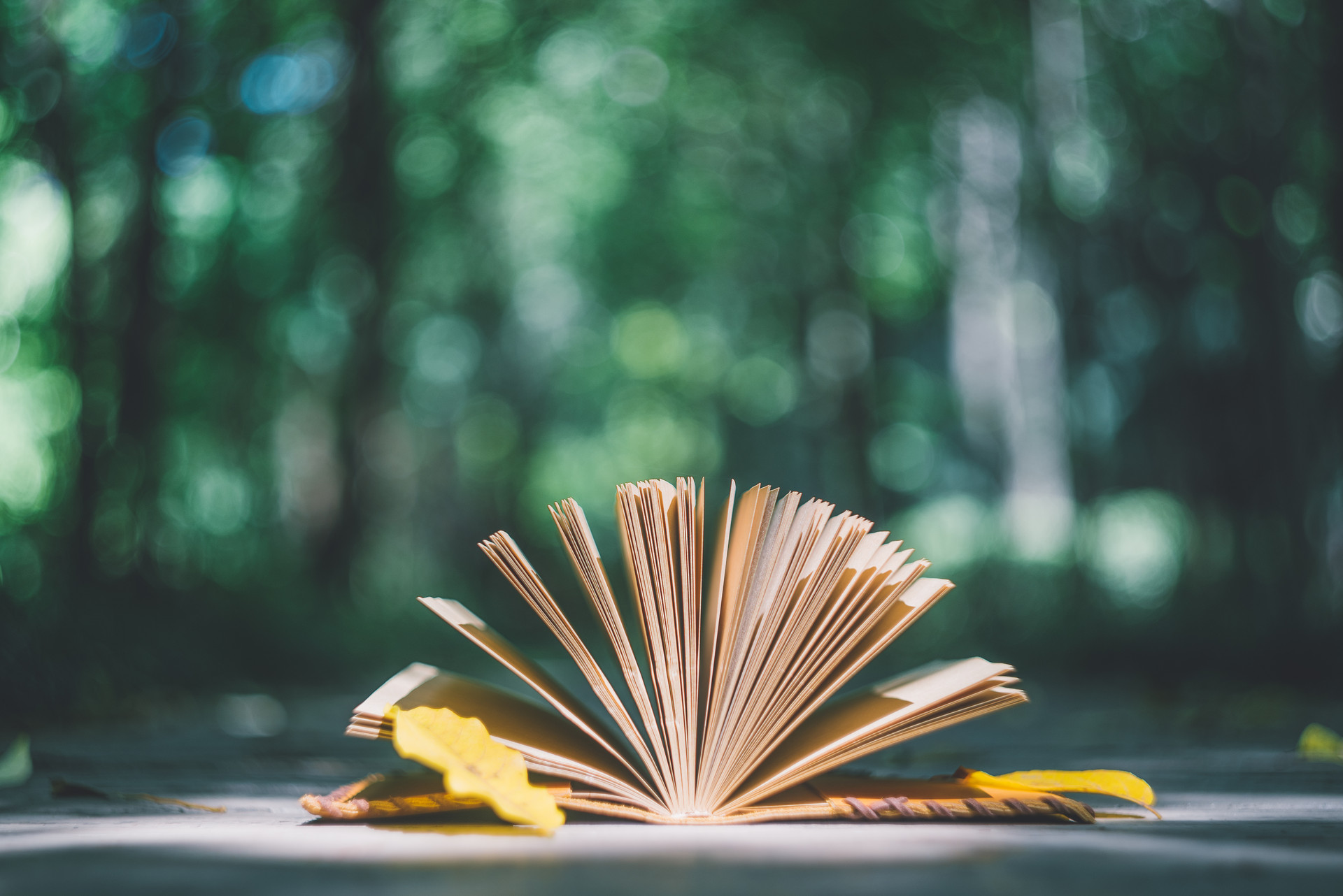 Dongsheng: The market that cannot be waited for is always in turmoil723 / author:Dongsheng Caishi / PostsID:1583563