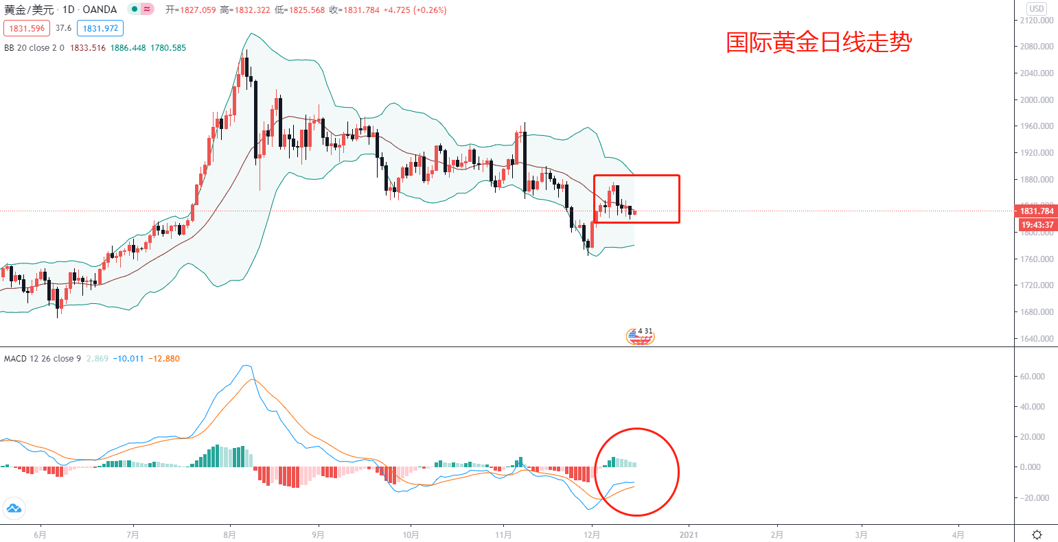 美国大选尘埃落地,快来领取属于你的分析报告48 / author:Dongsheng Caishi / PostsID:1587717 美国大选尘埃落地,快来领取属于你的分析报告48 / author:Dongsheng Caishi / PostsID:1587717