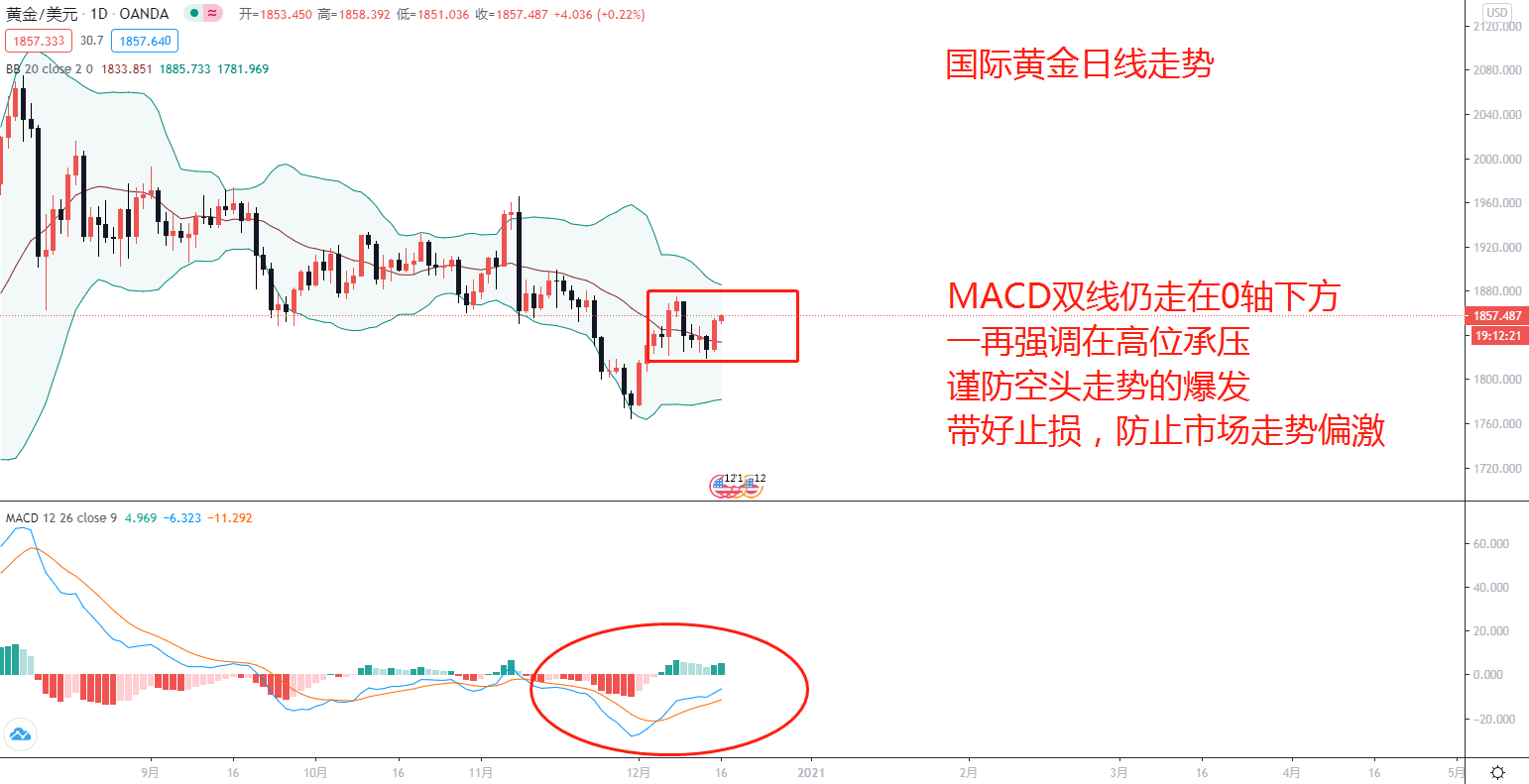 东盛：黄金如期破位，下一步继续看多239 / author:Dongsheng Caishi / PostsID:1588328