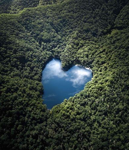 1608812482648619.jpg ACEC1C36AC3005FC29F5CF3F0EBFA0DD_w1638h1911.jpg