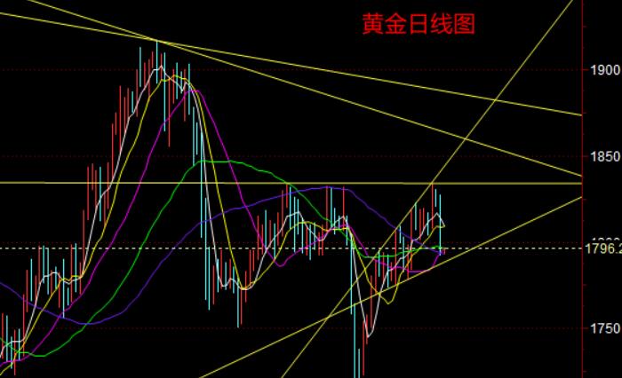 赵寅然98黄金破位大跌今日行情走势分析