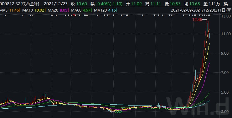 1640923317424873.jpg 3.jpg