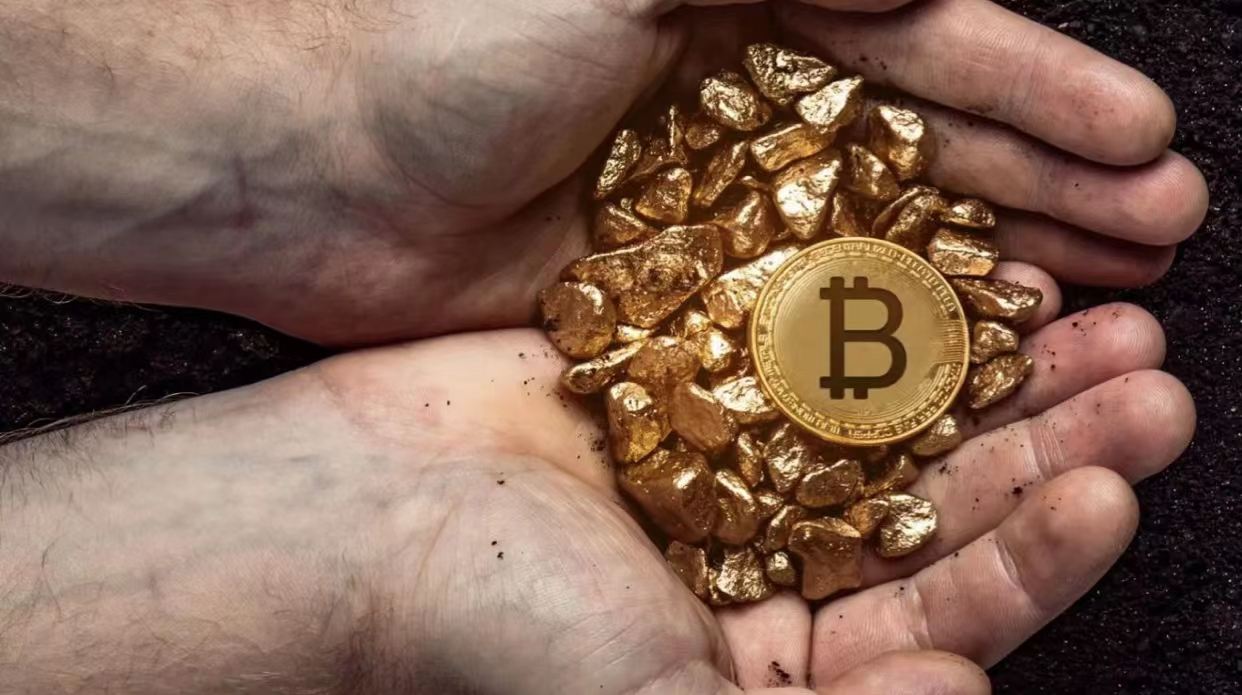 Dogecoin狗狗币交易平台 - 狗狗币价格行情,实时走势图什么网站买宠物最好