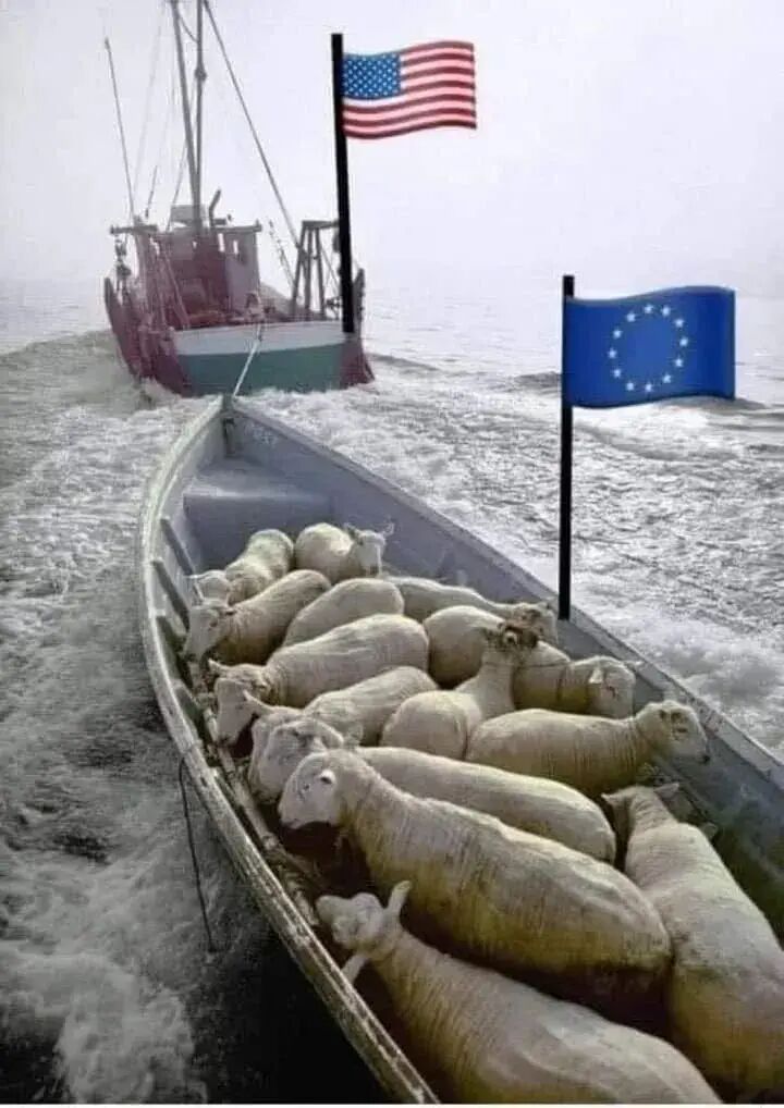 欧盟是丧失方向的羊.jpg