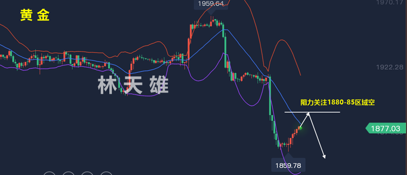 黄金.png