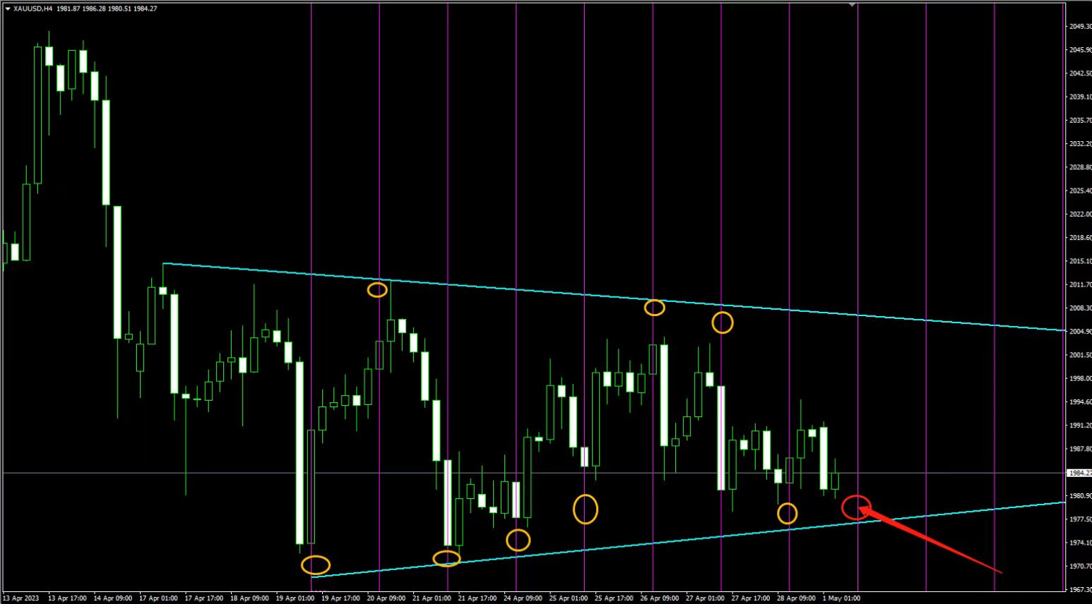 薛晓庆：暴风雨来临前的宁静，迎接金价泄洪_中金在线财经号