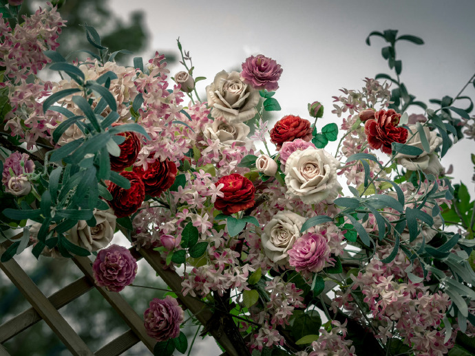 1686903333236889.jpg ad6a65e1ly1hctsq0trs9j22yo280kjm.jpg