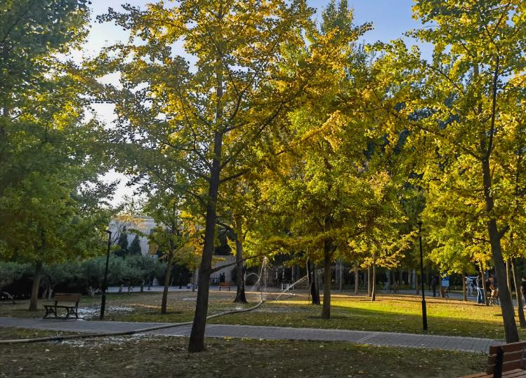 1689220717502901.jpg 微信截图_20221207114922-1.jpg