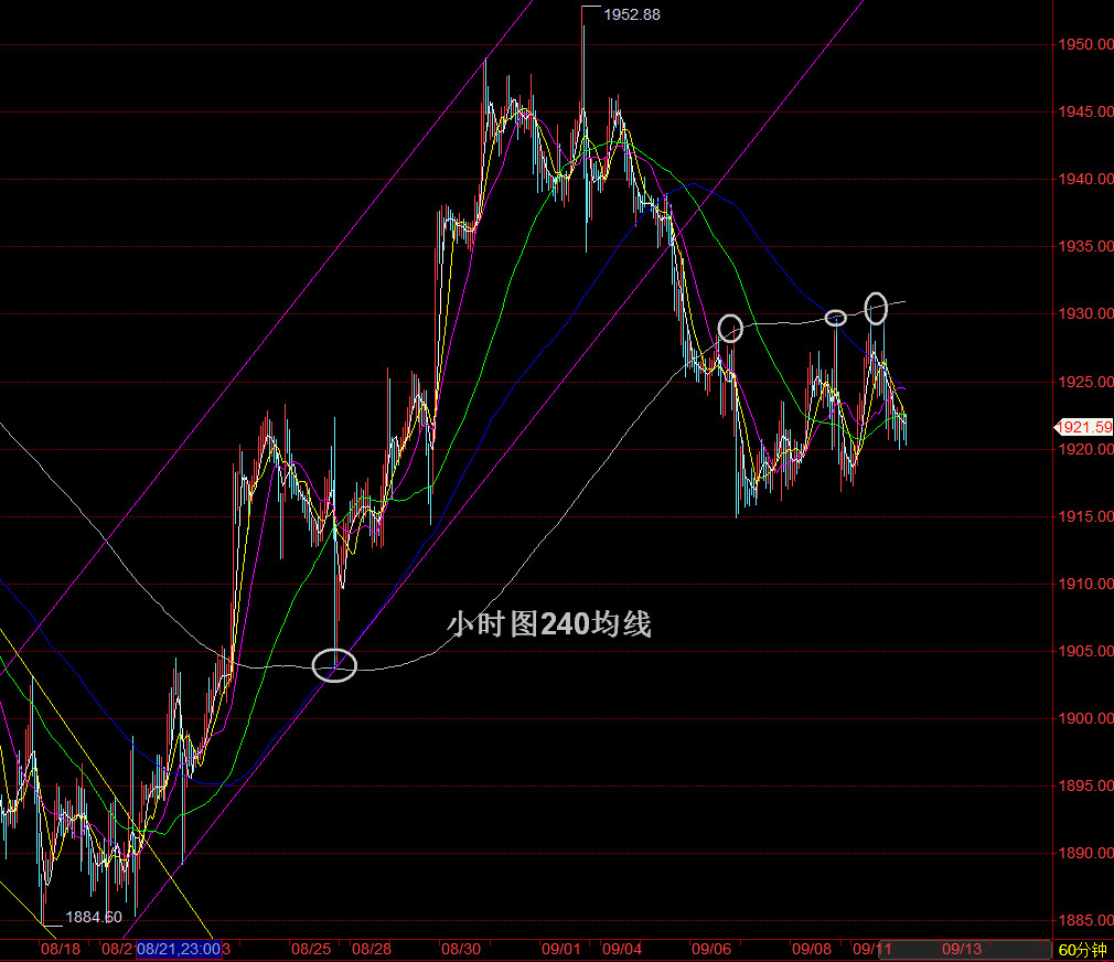 1694480248591556.jpg 2023-09-12_084650.jpg