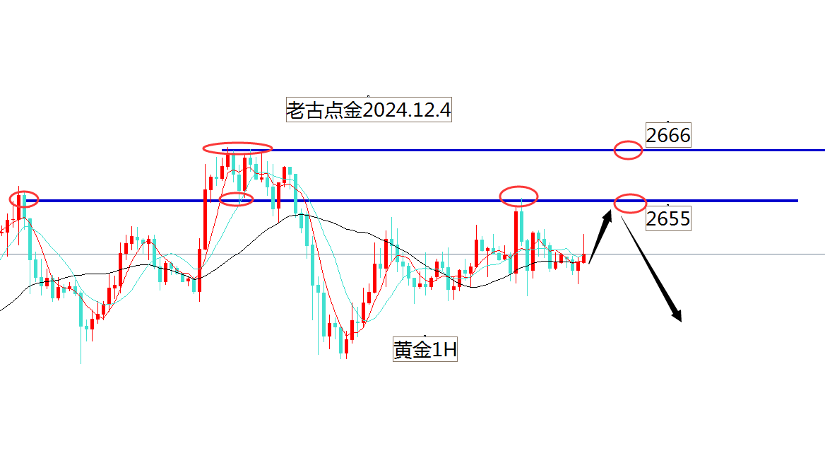 老古点金：黄金2655还干空