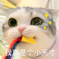 1733822435248695.png 23.png