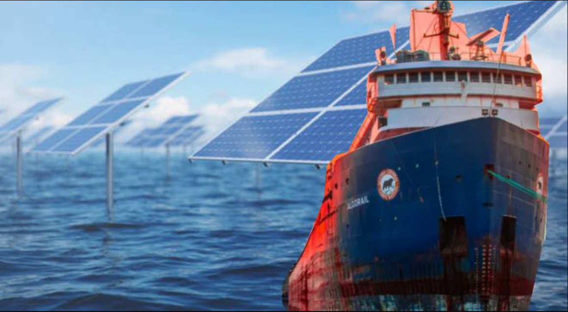 1734055630850284.png 大.png