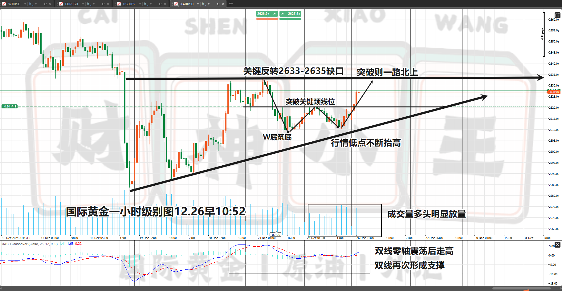 1735182842171114.png 黄金一小时图.png