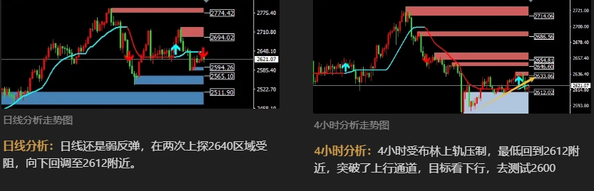 1735524389145483.jpg 1.jpg