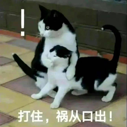 1735549442285457.png 22.png