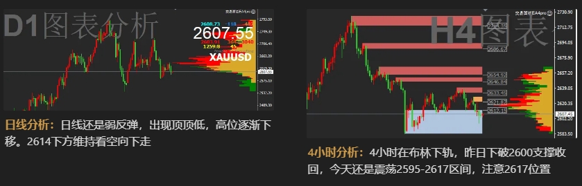 1735609913594246.jpg 1.jpg