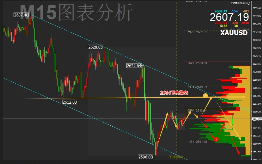 1735609945618036.jpg 2.jpg