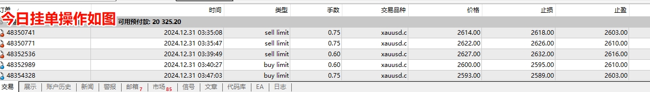 1735609958891983.jpg 3.jpg