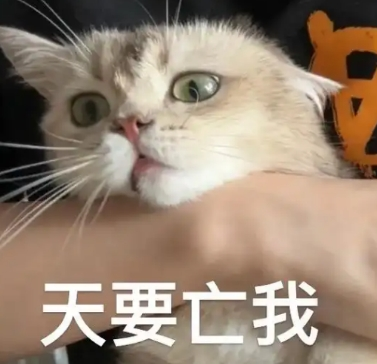 1735637149517817.png 22.png