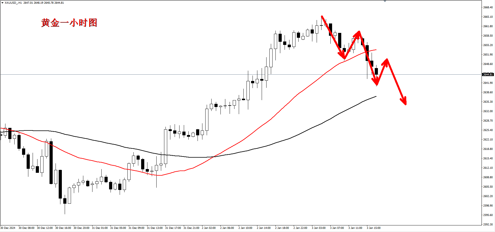 1735919589305566.jpg 1735919571372.jpg