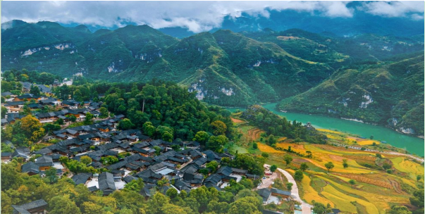 屏幕截图 2025-01-14 095210.png