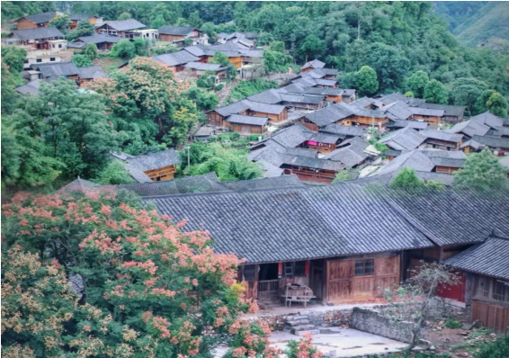 屏幕截图 2025-01-14 095737.png